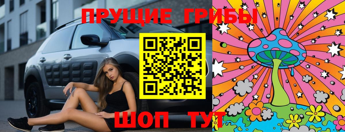 Сосновоборск  Галлюциногенные грибы мицелий  Вход с VPN 